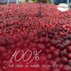 Fine Robusta dak lak